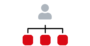 Organisation og struktur